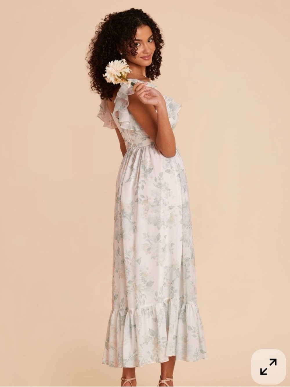 Birdy Grey Michelle Chiffon Dress - Sage Spring Garden